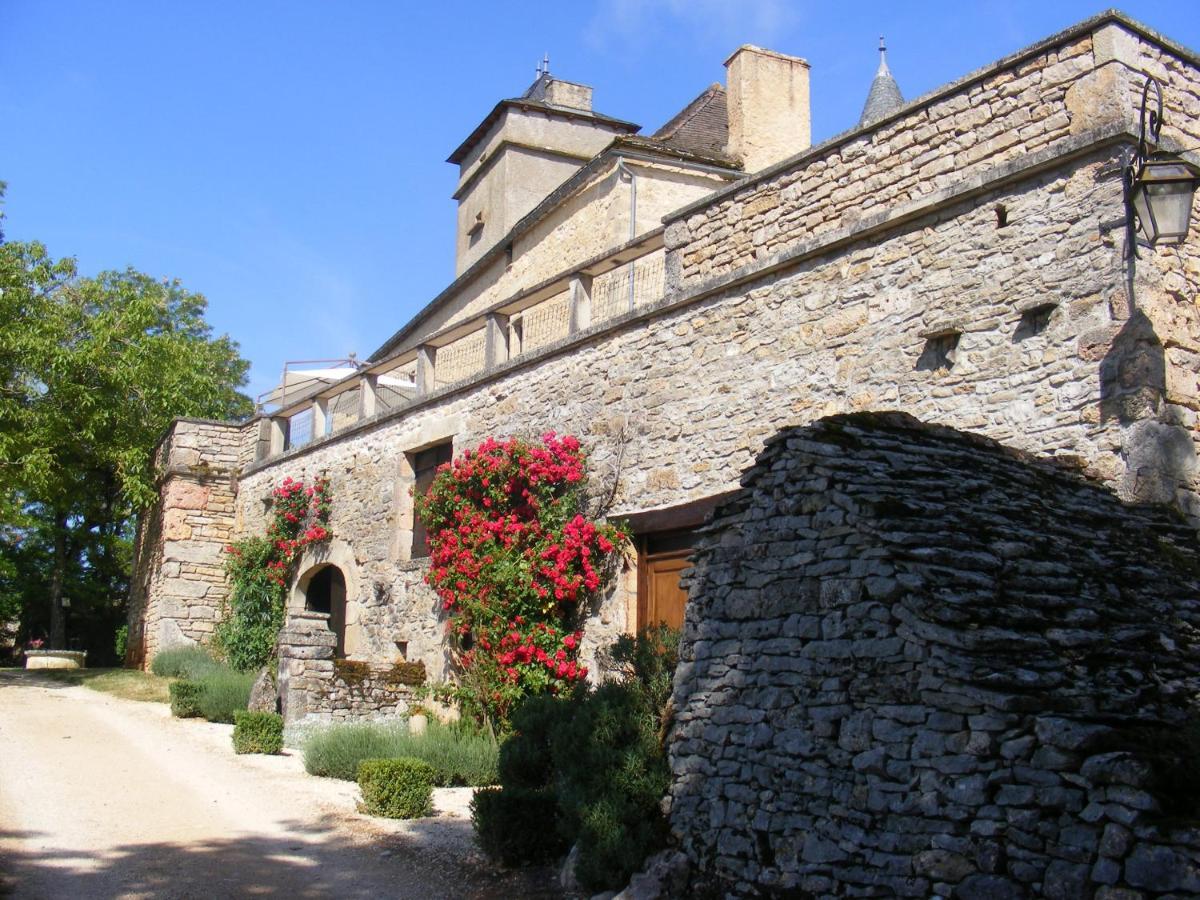 Promilhanes Chateau De Laumiere מראה חיצוני תמונה